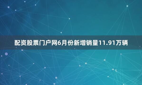 配资股票门户网6月份新增销量11.91万辆