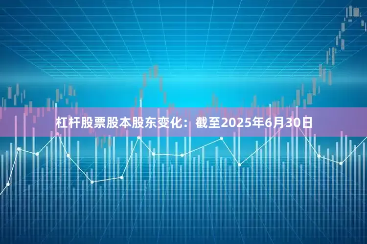杠杆股票股本股东变化：截至2025年6月30日