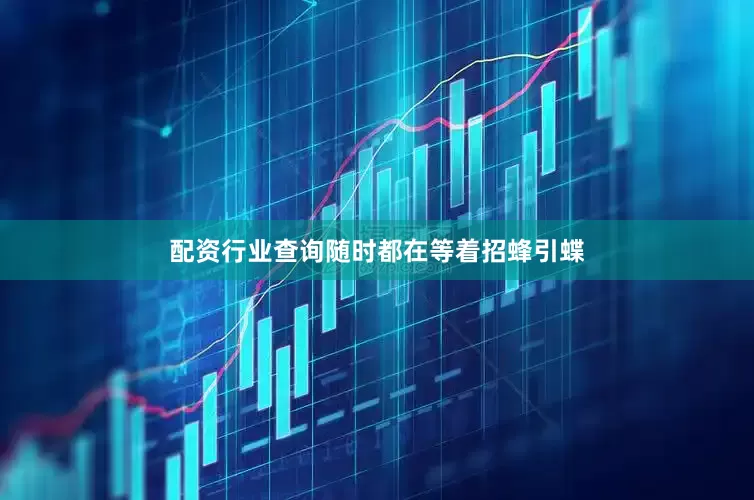 配资行业查询随时都在等着招蜂引蝶