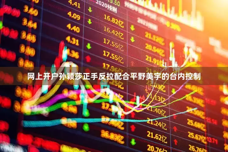 网上开户孙颖莎正手反拉配合平野美宇的台内控制