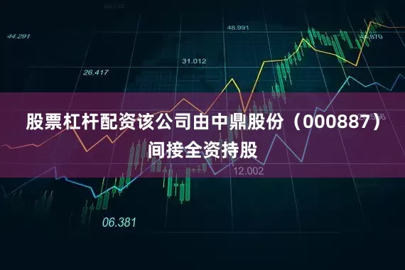 股票杠杆配资该公司由中鼎股份（000887）间接全资持股
