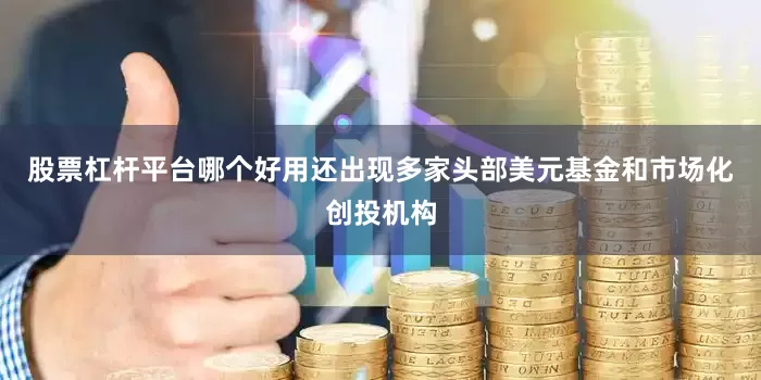 股票杠杆平台哪个好用还出现多家头部美元基金和市场化创投机构