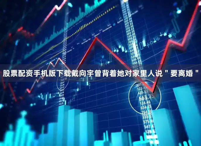 股票配资手机版下载戴向宇曾背着她对家里人说＂要离婚＂